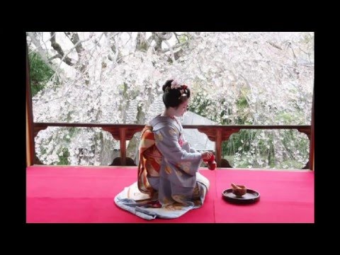意気地なし　森雄二とサザンクロス　/    cover　陀伊介