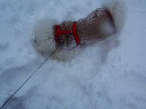 Emily in the snow