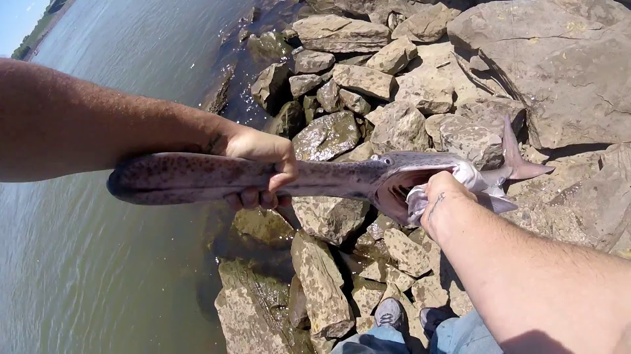 Ft. Loudon Dam Paddle Fish Fishing Best Friends First Time Awesome Day!!!!!!!!!!!!!