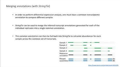 Isoform analysis using Stringtie