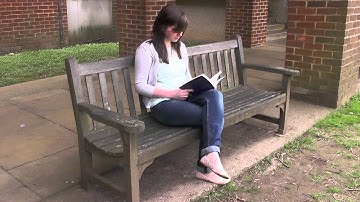 University of Sussex, Arabic language pathway