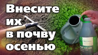 Осенняя Обработка Почвы. Польза Гуматов
