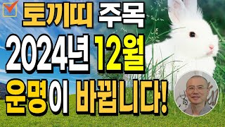 2024년 12월! 토끼띠 운명이 완전히 바뀝니다! 충격적인 운세 대공개 [운곡스님의 점찰이야기]