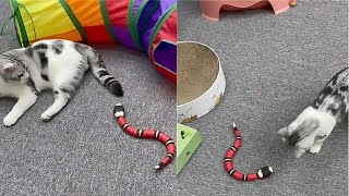 Smart Sensing Snake Toy For Cat Unboxing and Review 2022 - Cat Toy That Moves