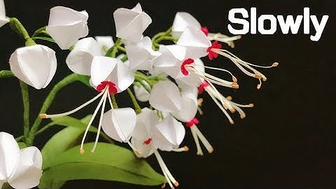 ABC TV | How To Make Bleeding Heart Vine Paper Flower With Shape Punch (Slowly) - Craft Tutorial