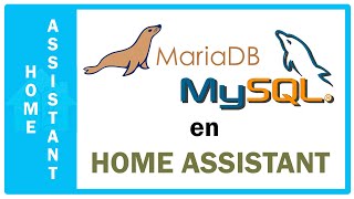 Nueva base de datos para Home Assistant - Maria DB en Home Assistant