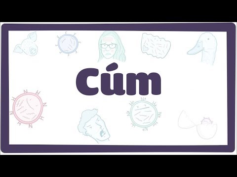 Video: Virus Cúm ở Ngựa