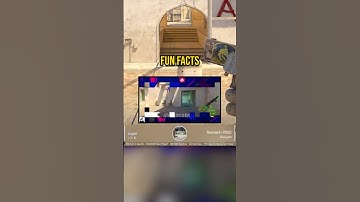 NEW CS2 HIGHLIGHT CHARM FUN FACTS