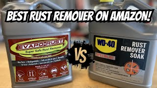 Best Rust Remover On Amazon! | Evaporust VS WD-40