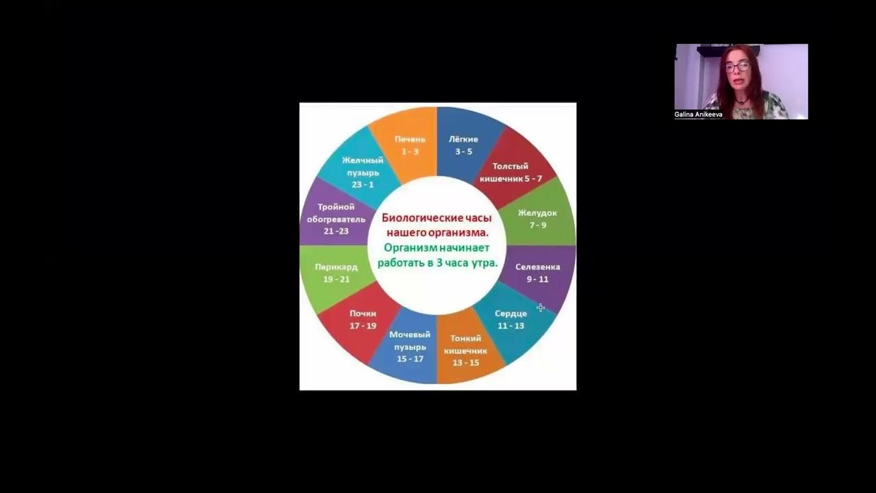 Полную программу с утра. Tv программа передач. Програмателе. Полную программу с утра. Полную программу с утра.