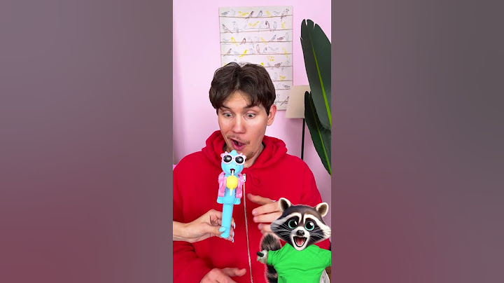 THAT LOLLIPOP’S A NO-GO! THIS GADGET  IS WHAT YOU NEED! 🍭 RACCOON REACTS #funnyanimals #gadgets