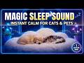 8 Hour Dog and Cat Sleep Therapy Calm Healing Music Starry Night