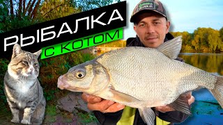 ЛОВЛЯ ЛЕЩА НА РЕКЕ / РЫБАЛКА НА ФИДЕР / FROS FISHING