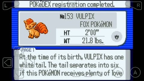 153: Where to Find Vulpix in Pokemon Ruby!