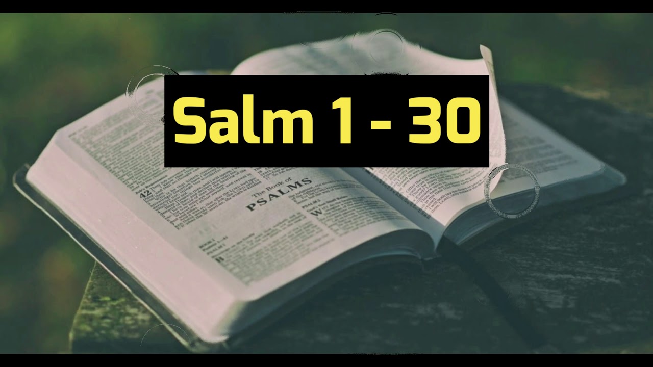 Lai Bible (Hakha) || Salm 1 - 30