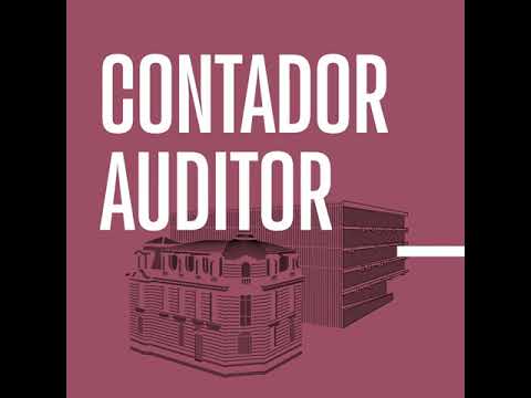 Contador Auditor UDP