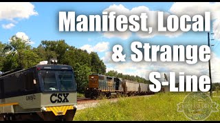 CSX S line strange, local and manifest by WindersRanger 96 views 8 months ago 9 minutes, 41 seconds