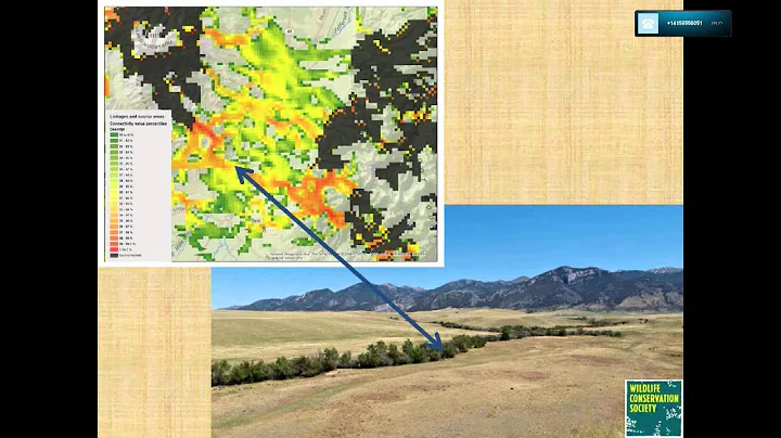 Incorporating Climate Change Adaptation into Grizz...