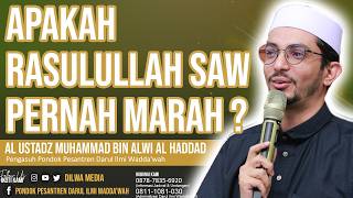 Did the Prophet Muhammad (PBUH) Ever Get Angry? - Al-Ustadz Muhammad bin Alwi Al-Haddad