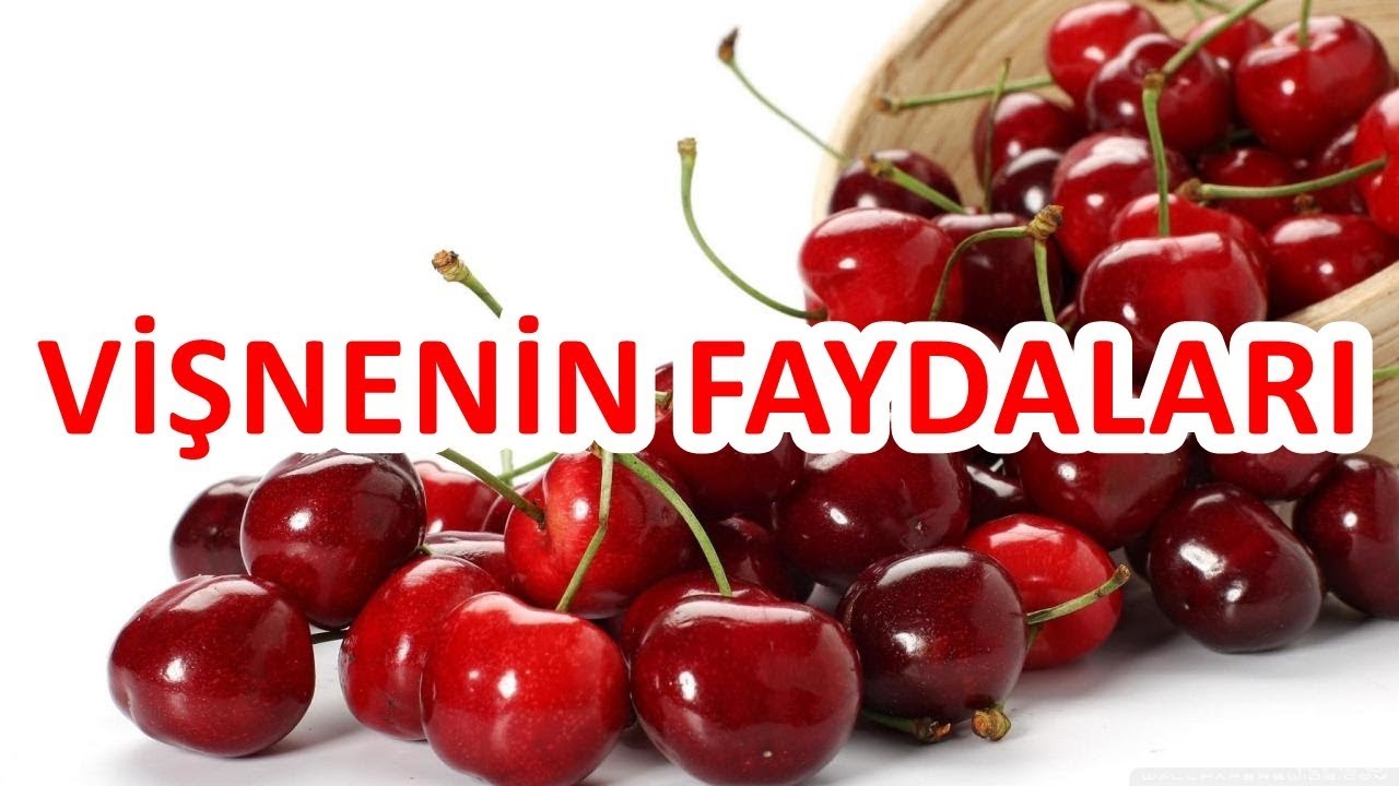 Vişnenin Faydaları Vişnenin Faydaları