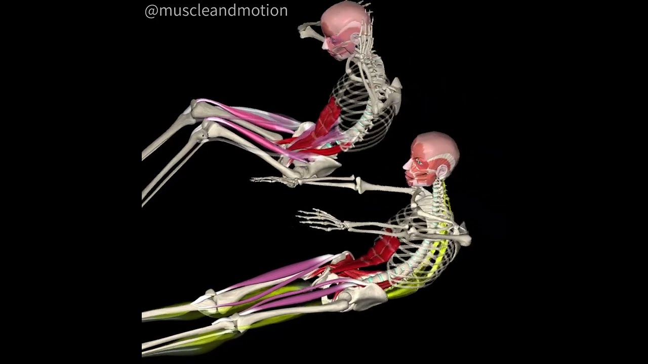 75 3 Second Cadence Curl UPS YouTube