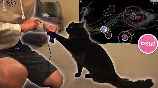 I Taught My Cat to Play osu!