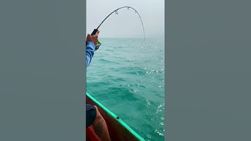 Câu cá biển// jig cá bè trang 18 #shortsvideo