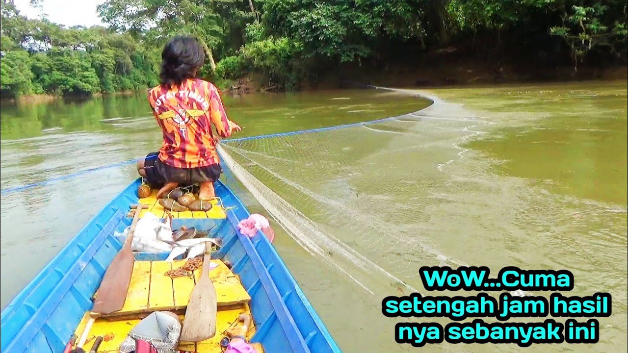 Pasang pukat sungai cuma setengah jam hasil nya MANTAPPPP