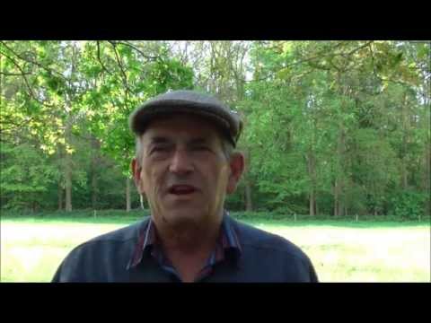 De boer ploegt