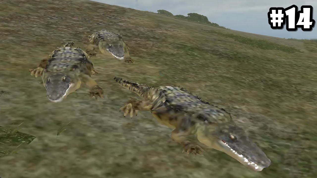Wild Animals Online - Pack of Crocodiles - Android/iOS - Gameplay ...