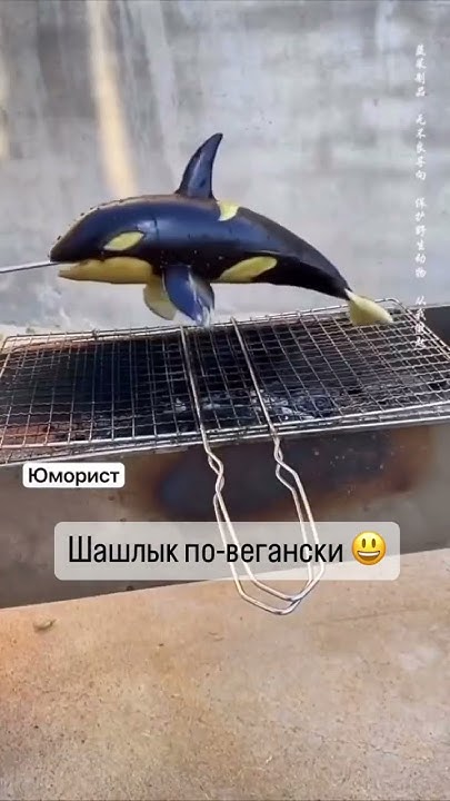 Еда для веганов идея - YouTube