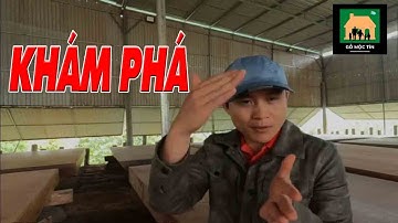 Khám Phá Bí Mật Gỗ Cẩm Và Sập Gỗ Cẩm Lai  | Sơn Sập Gỗ