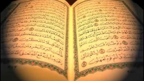 111 سوره المسد . صلاح البدير