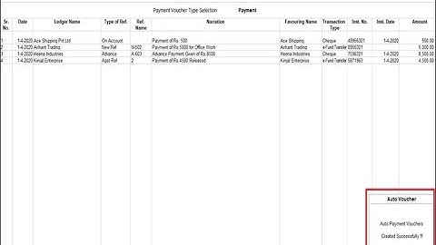 Tally Add On : Automatic Multiple Payment Vouchers Creations in Tally Prime Software.