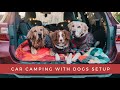 Car Camping With Dogs Set Up | Subaru Outback