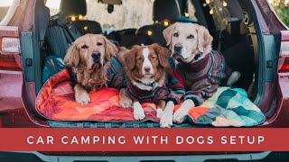 Car Camping With Dogs Set Up | Subaru Outback