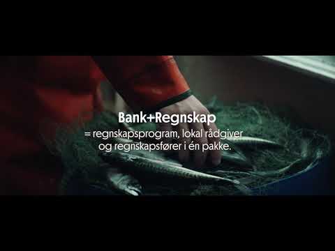 Bedriftsløftet - Bank+Regnskap