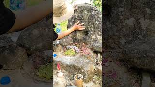 VIRAL !!! TELAH DITEMUKAN TULISAN JAWA KUNO LEBIH TUA DARI MAJAPAHIT YANG LAGI VIRAL ?!