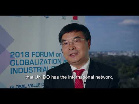 UIBE S Zhongxiu Zhao At The 2018 Forum On Globalization And Industrialization