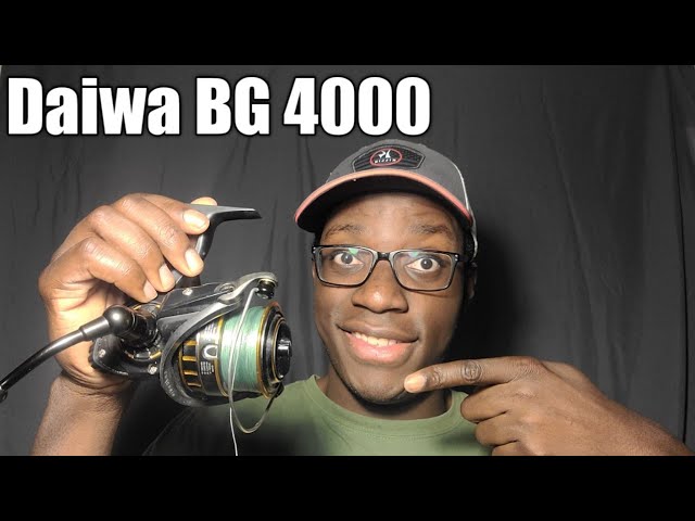 Daiwa BG 4000, Review