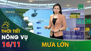Thời tiết nông vụ 16/11/2021:TrungTrung Bộ vẫn tiếp tục có mưa lớn | VTC14