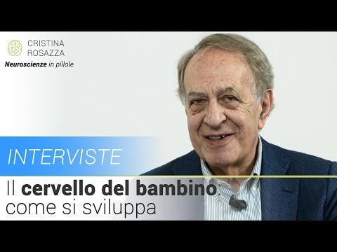 Video: Il cervello del bambino esiste anche per gli uomini, spiega un papà 