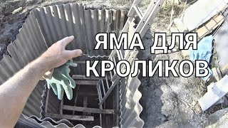 Яма для кроликов