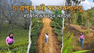 Dangia Village ~ Darjeeling ↑ Travel Vlog #188 with Santanu Ganguly