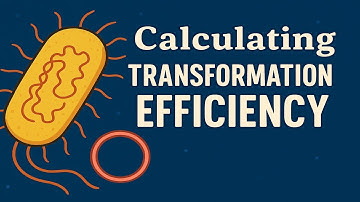 Calculating Transformation Efficiency - Dr. Ramey Raw Edition