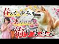春のかゆみ、薬だけだと治りません。
