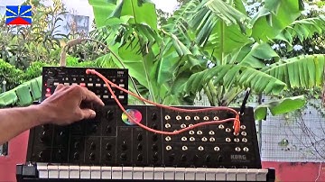 ms20 SQ1   séquence analogue