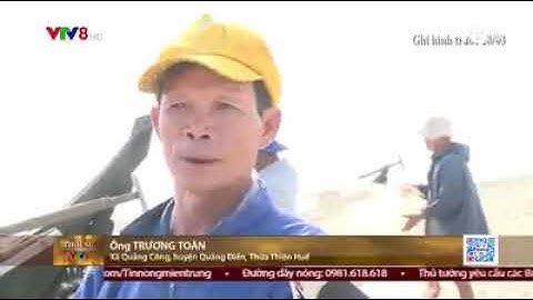 Ngư dân Thừa Thiên  Huế được mùa cá trích