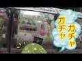 【ガチャガチャ】電球ランプ 『気になる景品は⁉』