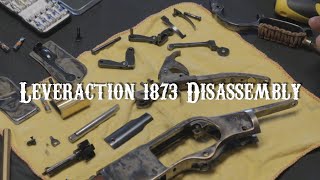 Leveraction 1873 Disassembly